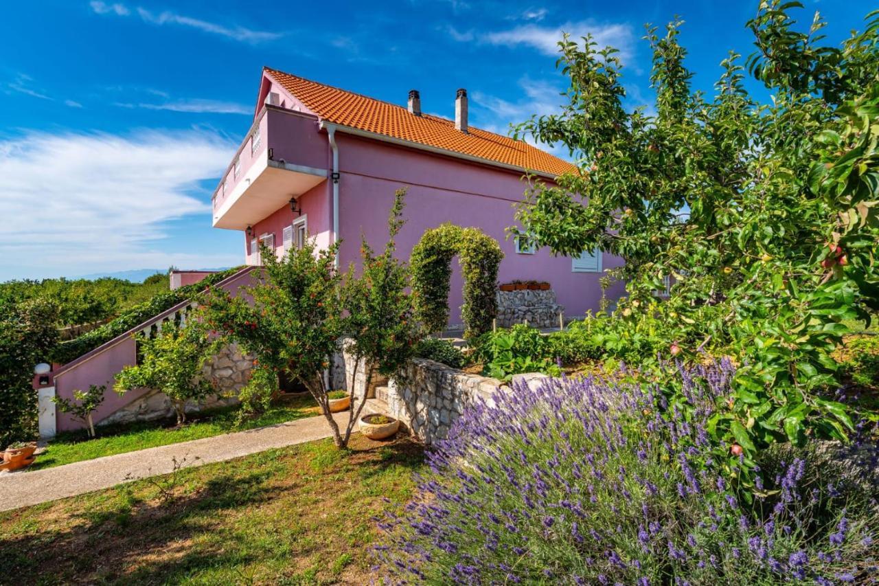 Villa Eagle Benkovac Exteriér fotografie