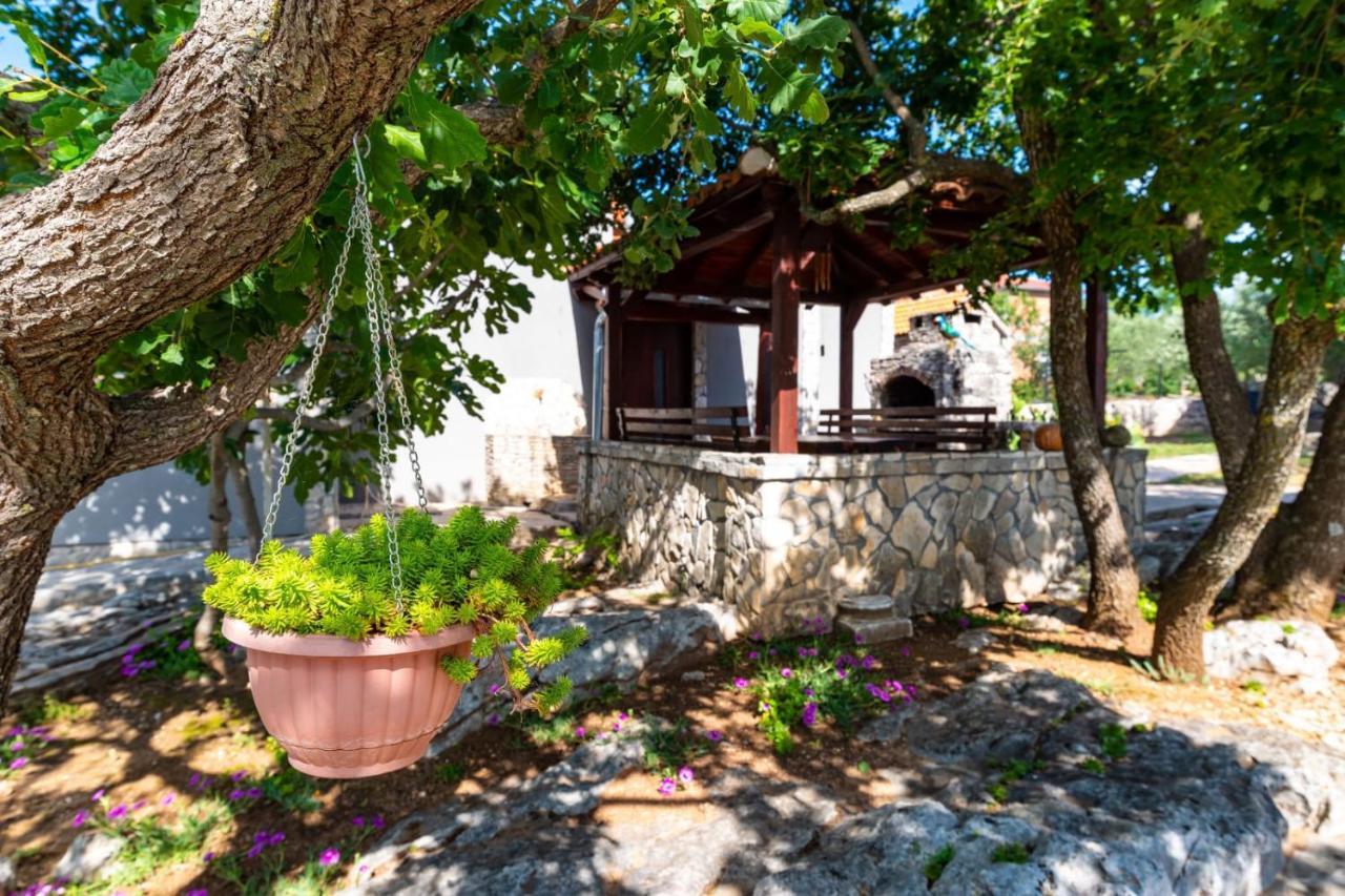 Villa Eagle Benkovac Exteriér fotografie